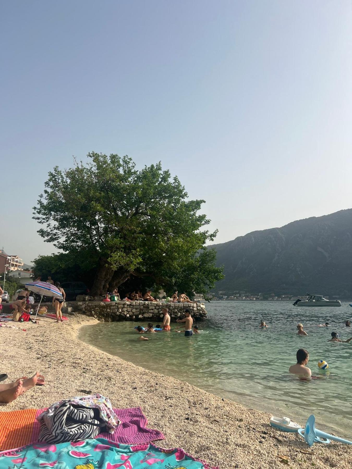 Apartments 101 Kotor Kültér fotó